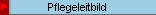 Pflegeleitbild